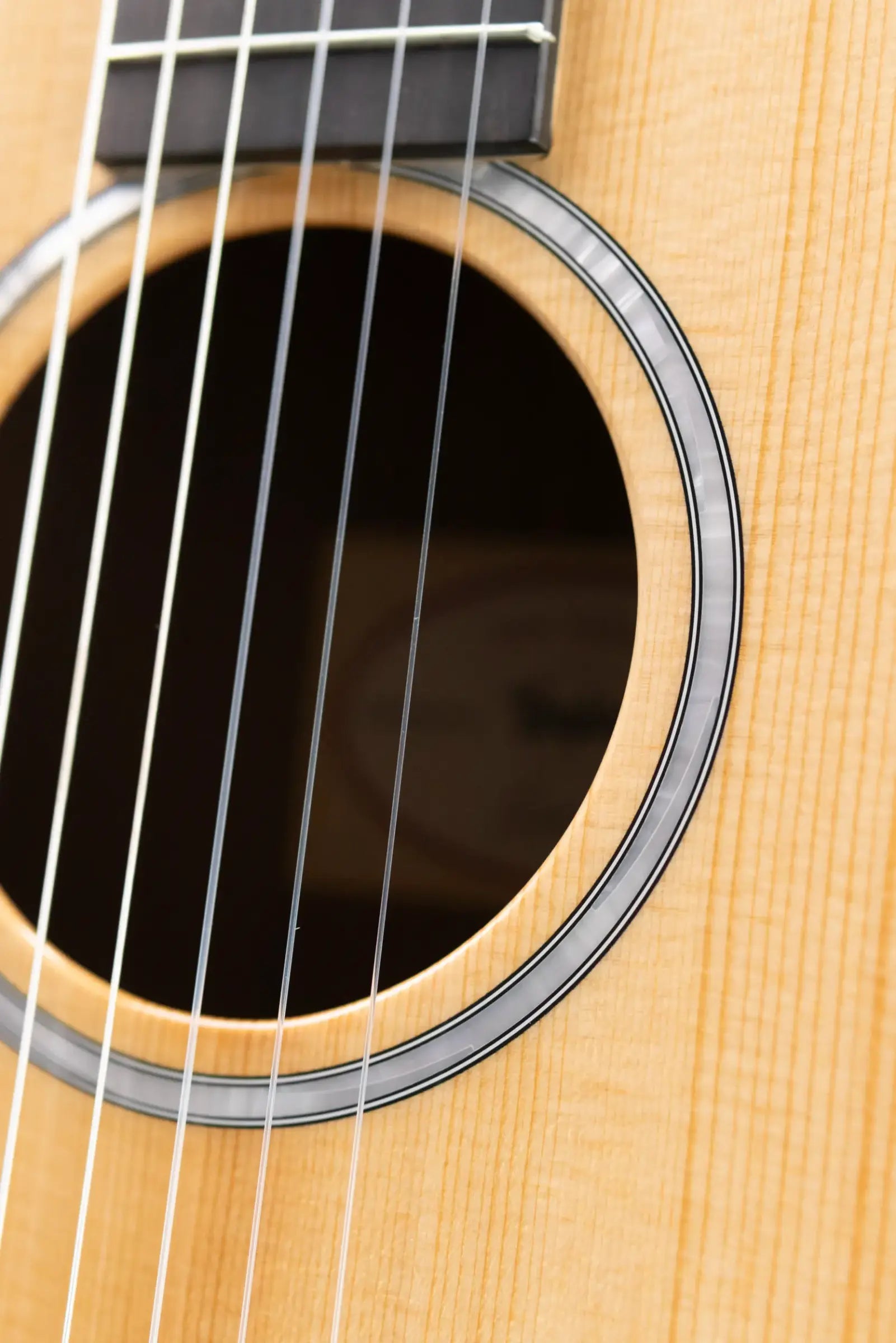 Taylor 212ce-N Plus Grand Concert Acoustic/Electric Guitar with Aerocase