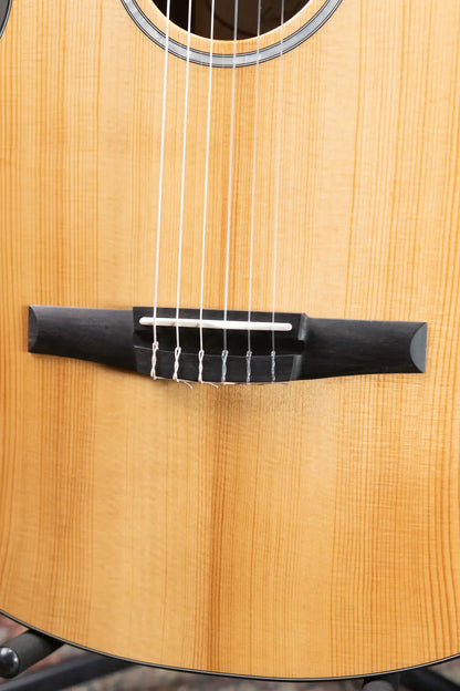 Taylor 212ce-N Plus Grand Concert Acoustic/Electric Guitar with Aerocase