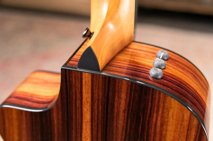 Taylor 212ce-N Plus Nylon Grand Concert Acoustic/Electric Guitar with Aerocase