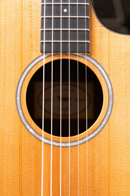 Taylor 212ce-N Plus Nylon Grand Concert Acoustic/Electric Guitar with Aerocase