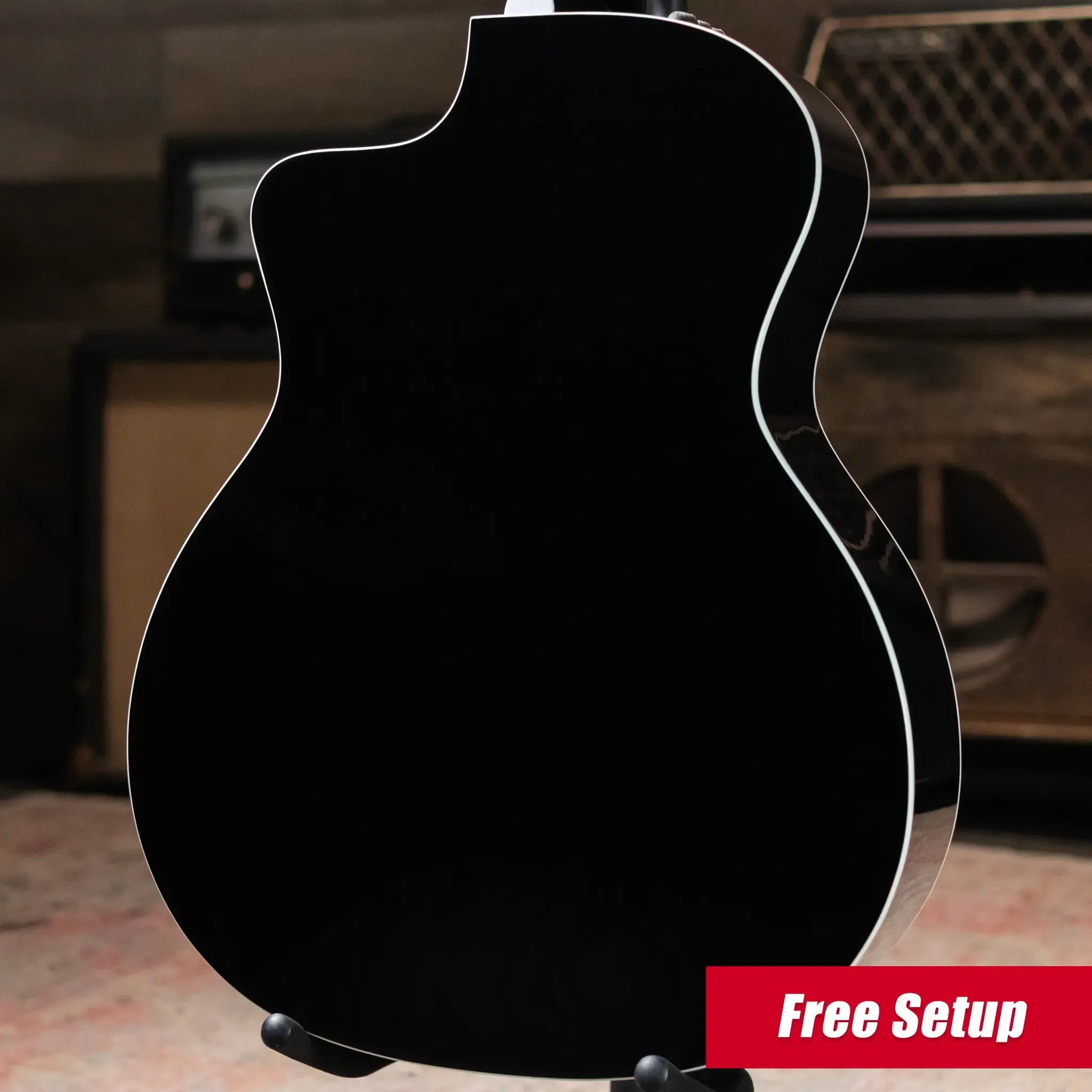 Taylor 214ce-BLK Plus Grand Auditorium Acoustic/Electric Guitar - Black with Aerocase