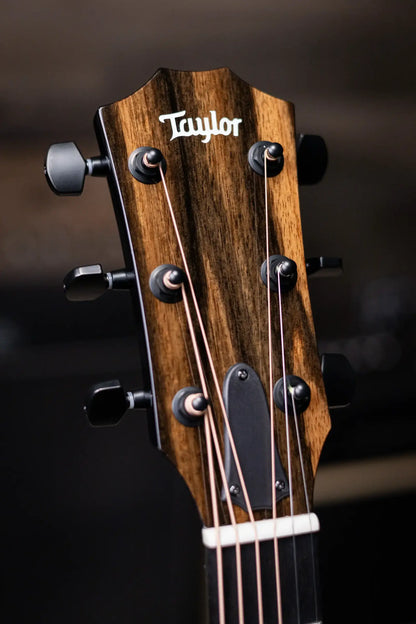 Taylor 214ce-BLK Plus Grand Auditorium Acoustic/Electric Guitar - Black with Aerocase