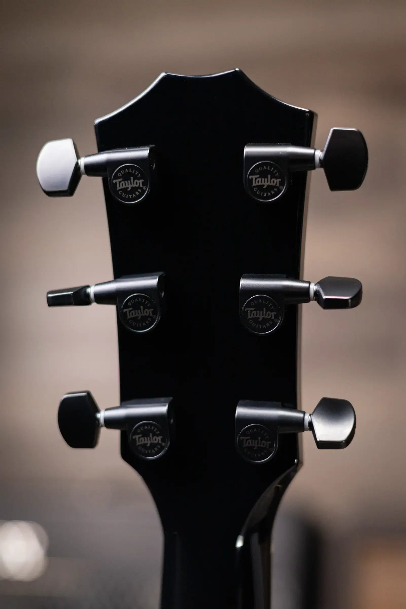 Taylor 214ce-BLK Plus Grand Auditorium Acoustic/Electric Guitar - Black with Aerocase