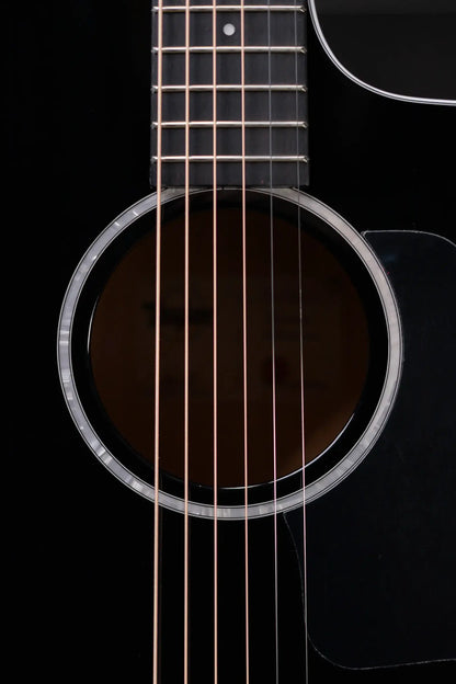 Taylor 214ce-BLK Plus Grand Auditorium Acoustic/Electric Guitar - Black with Aerocase