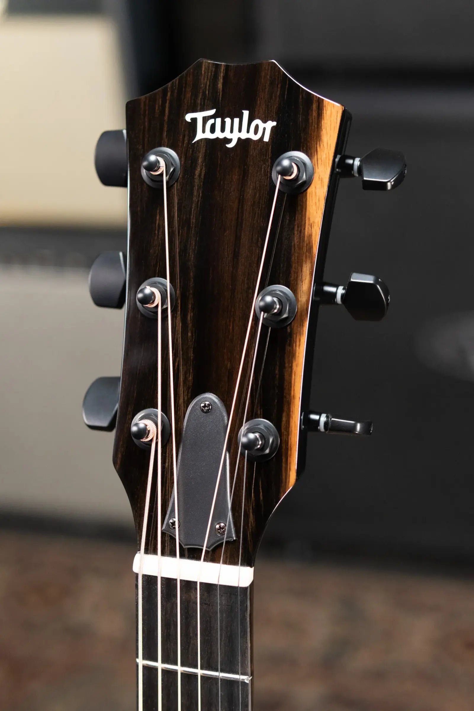 Taylor 214ce-BLK Plus Grand Auditorium Acoustic/Electric Guitar - Black with Aerocase - Factory Demo
