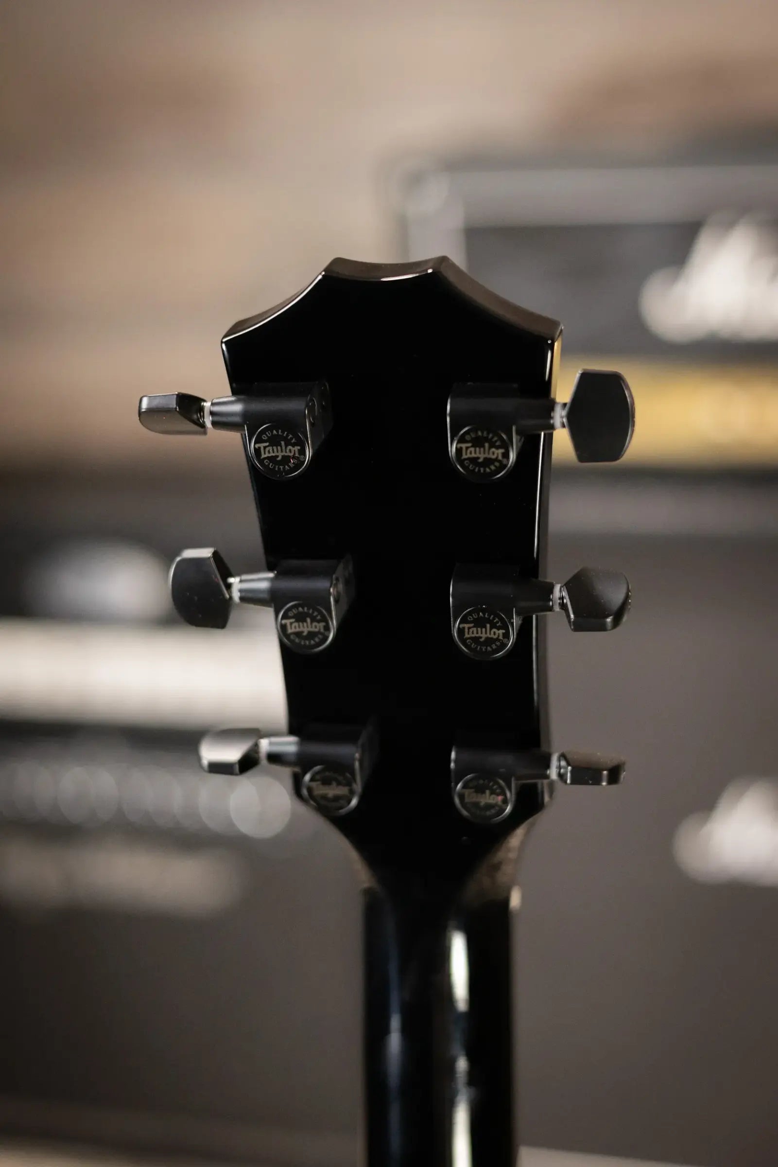 Taylor 214ce-BLK Plus Grand Auditorium Acoustic/Electric Guitar - Black with Hardshell Case