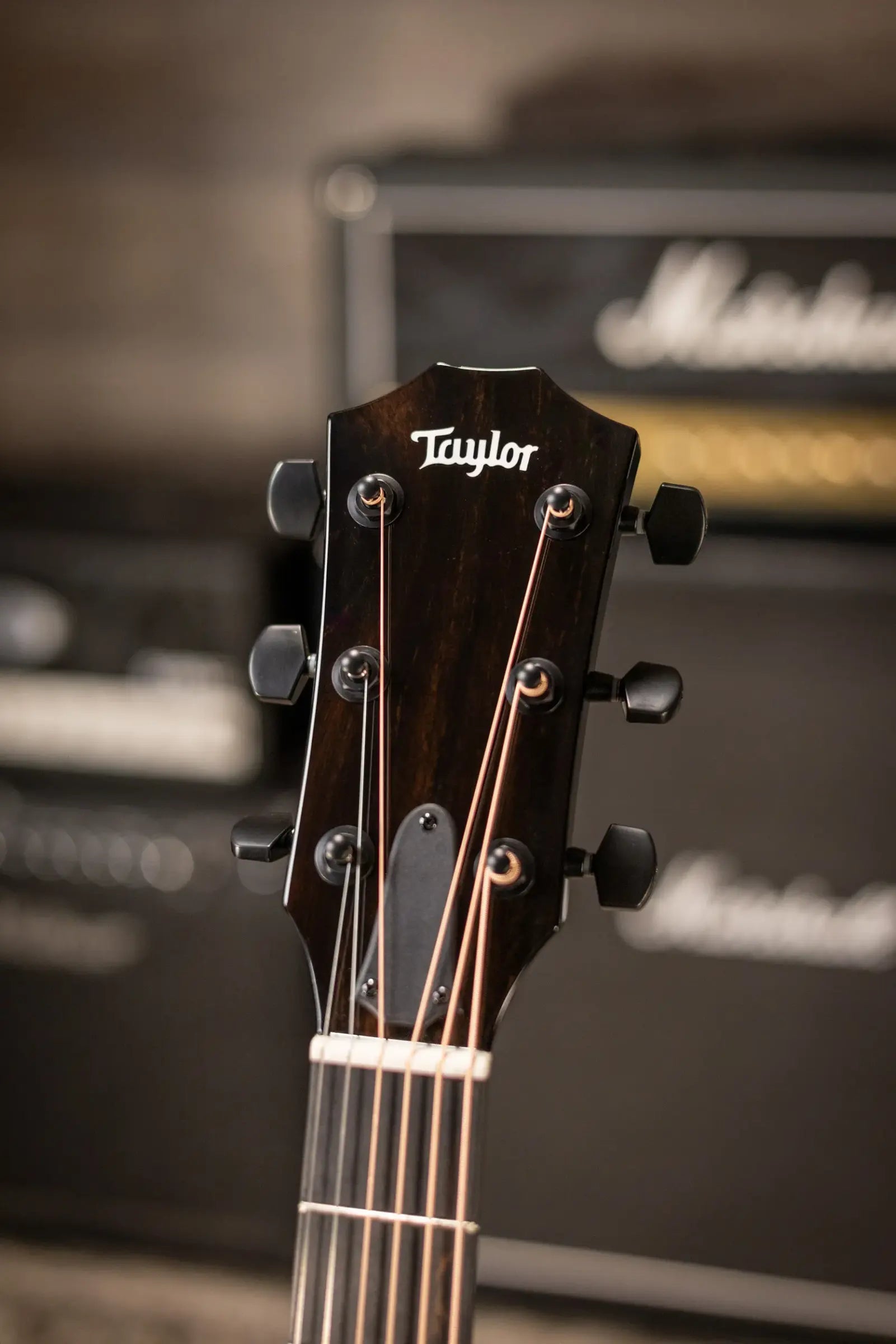 Taylor 214ce BLK Plus Left-Handed Grand Auditorium Acoustic/Electric Guitar - Black with Aerocase