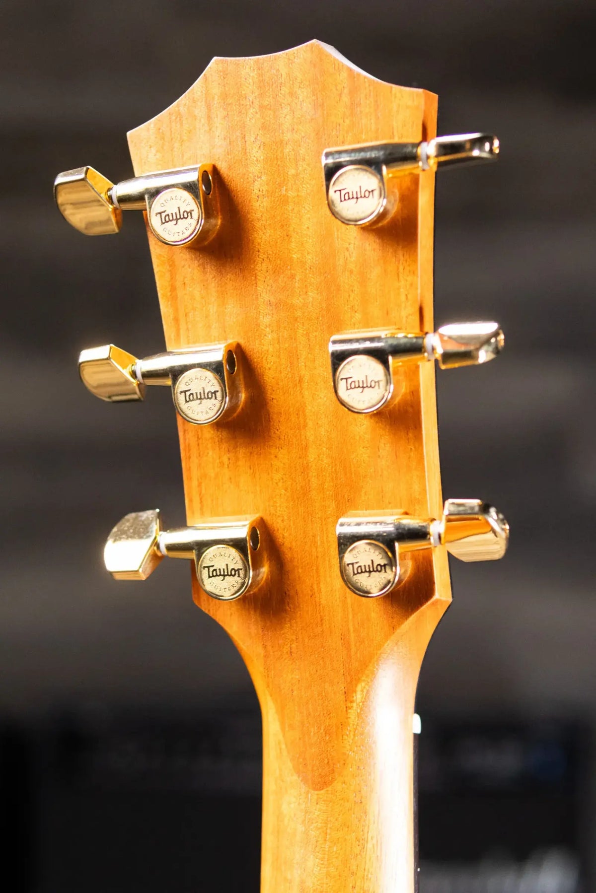 Taylor 214ce DLX Sunset Blvd Grand Auditorium Acoustic/Electric Guitar - Silverburst with Hardshell Case