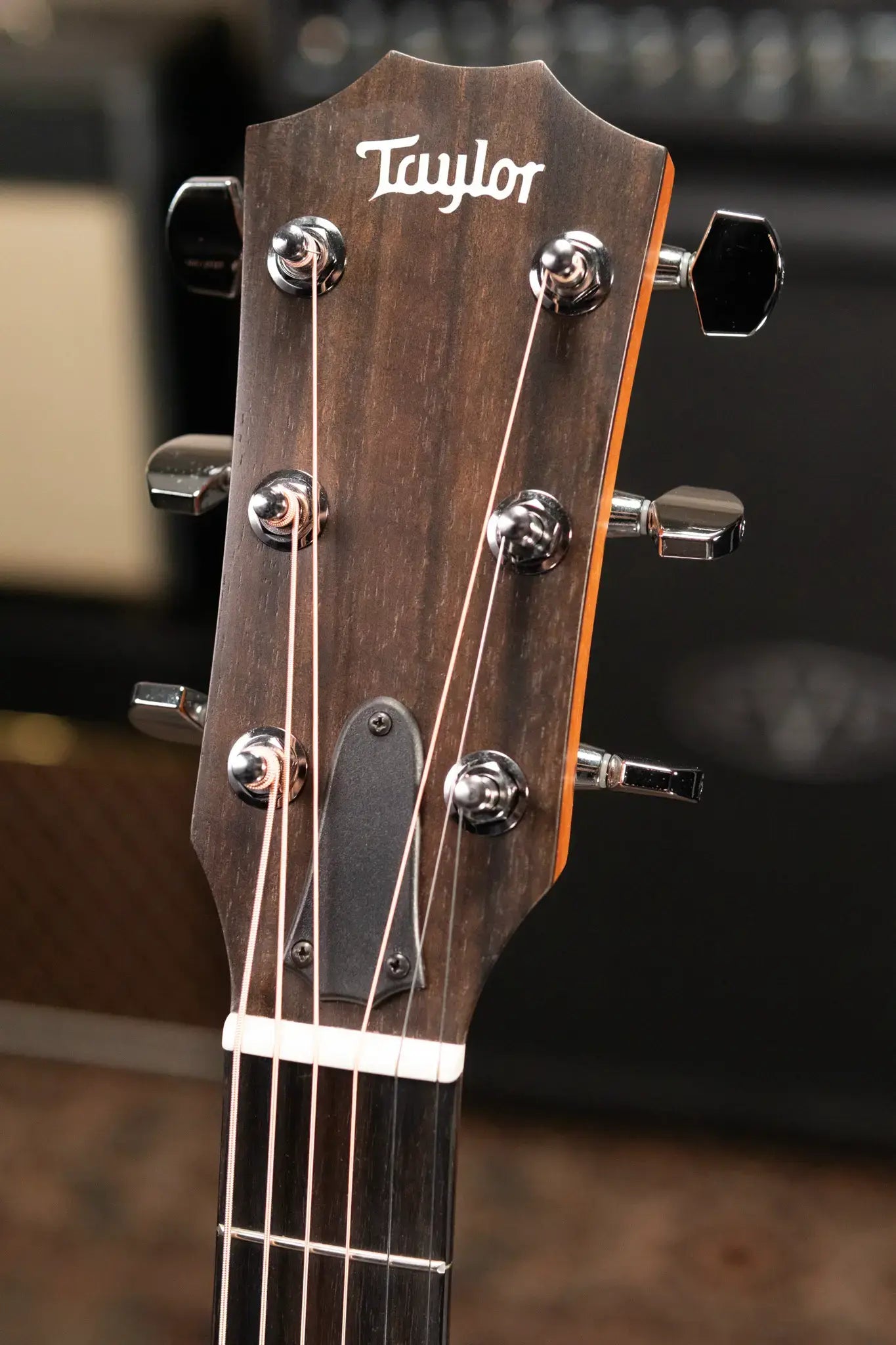 Taylor 214ce Grand Auditorium Acoustic/Electric Guitar - Rosewood with Gig Bag
