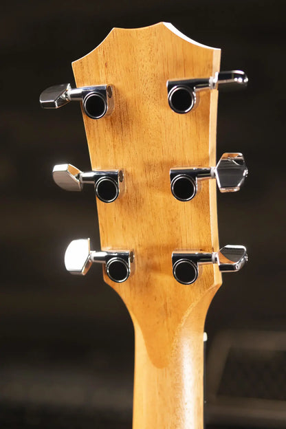 Taylor 214ce Grand Auditorium Acoustic/Electric Guitar with Gig Bag