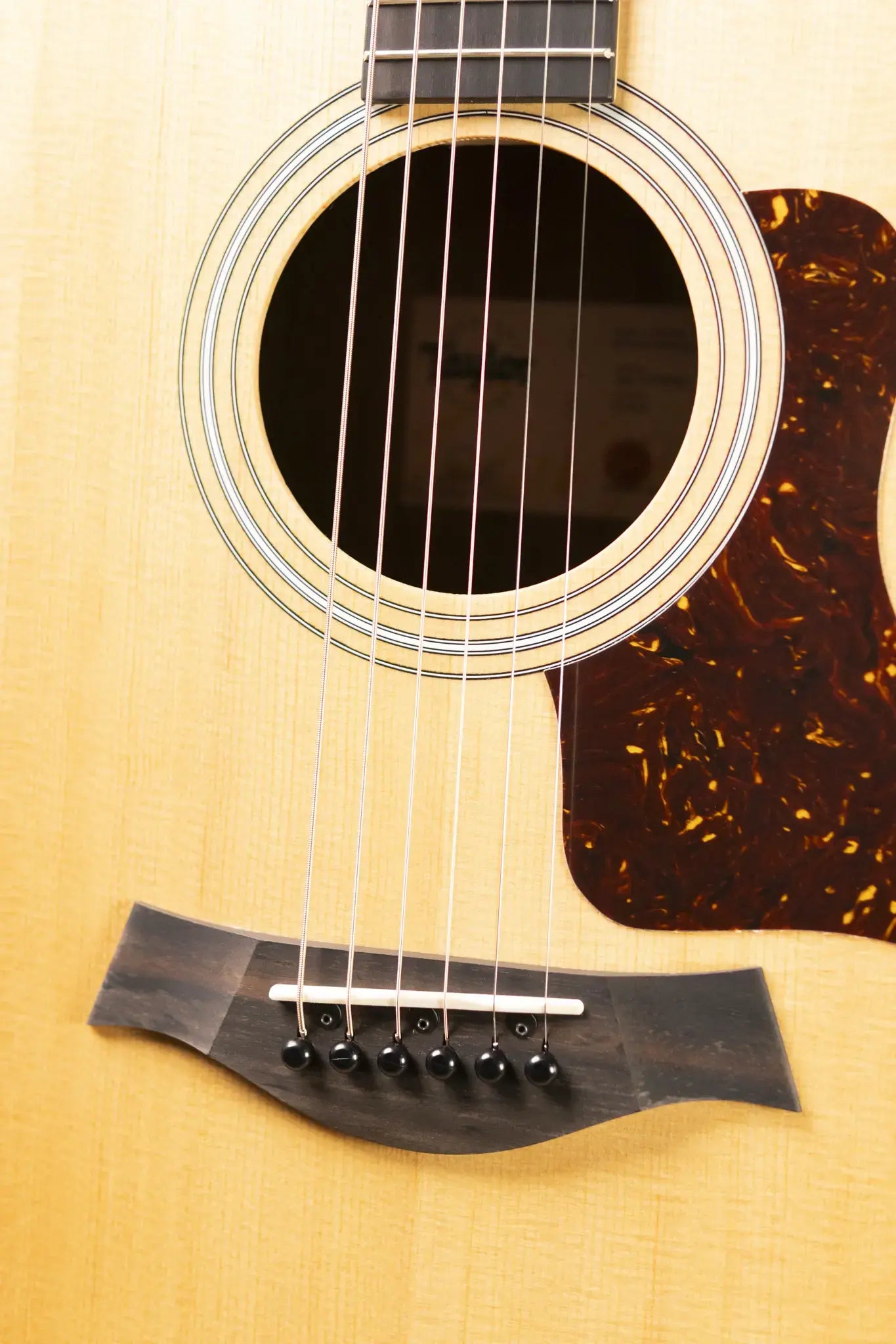 Taylor 214ce Grand Auditorium Acoustic/Electric Guitar with Gig Bag