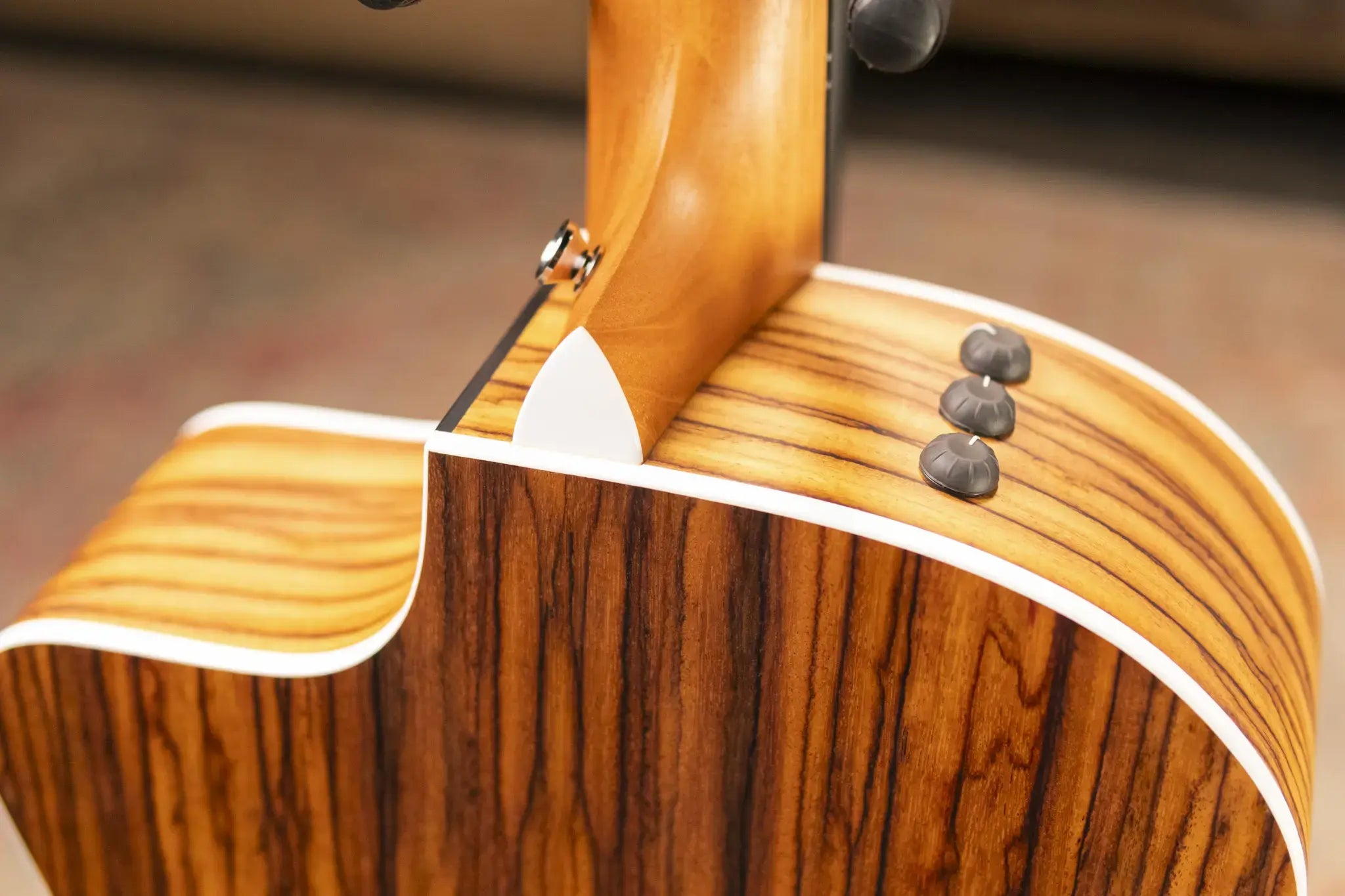 Taylor 214ce Grand Auditorium Acoustic/Electric Guitar with Gig Bag - Factory Demo