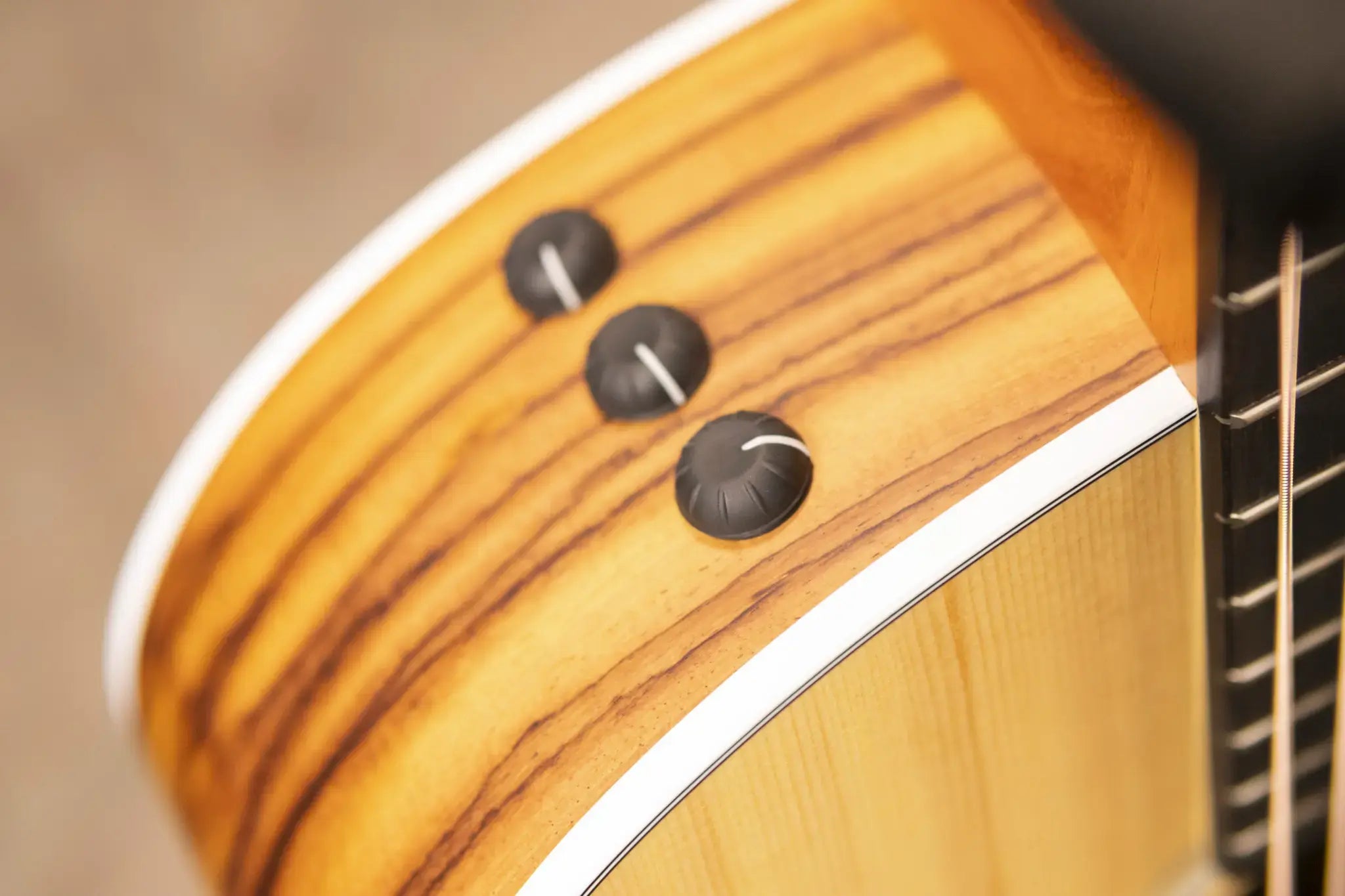 Taylor 214ce Grand Auditorium Acoustic/Electric Guitar with Gig Bag - Factory Demo