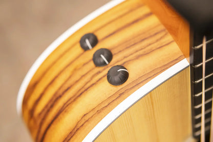 Taylor 214ce Grand Auditorium Acoustic/Electric Guitar with Gig Bag - Factory Demo