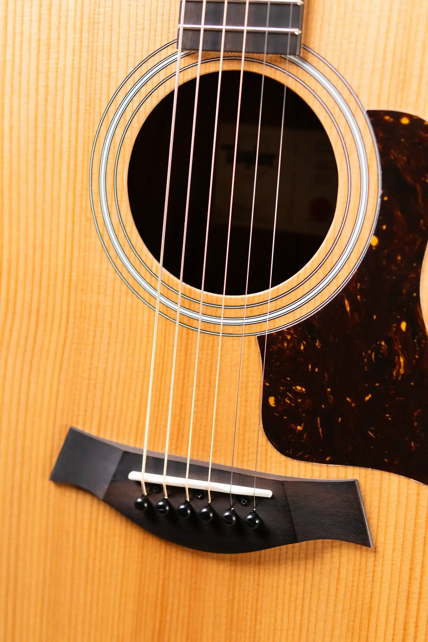 Taylor 214ce Grand Auditorium Acoustic/Electric Guitar with Gig Bag