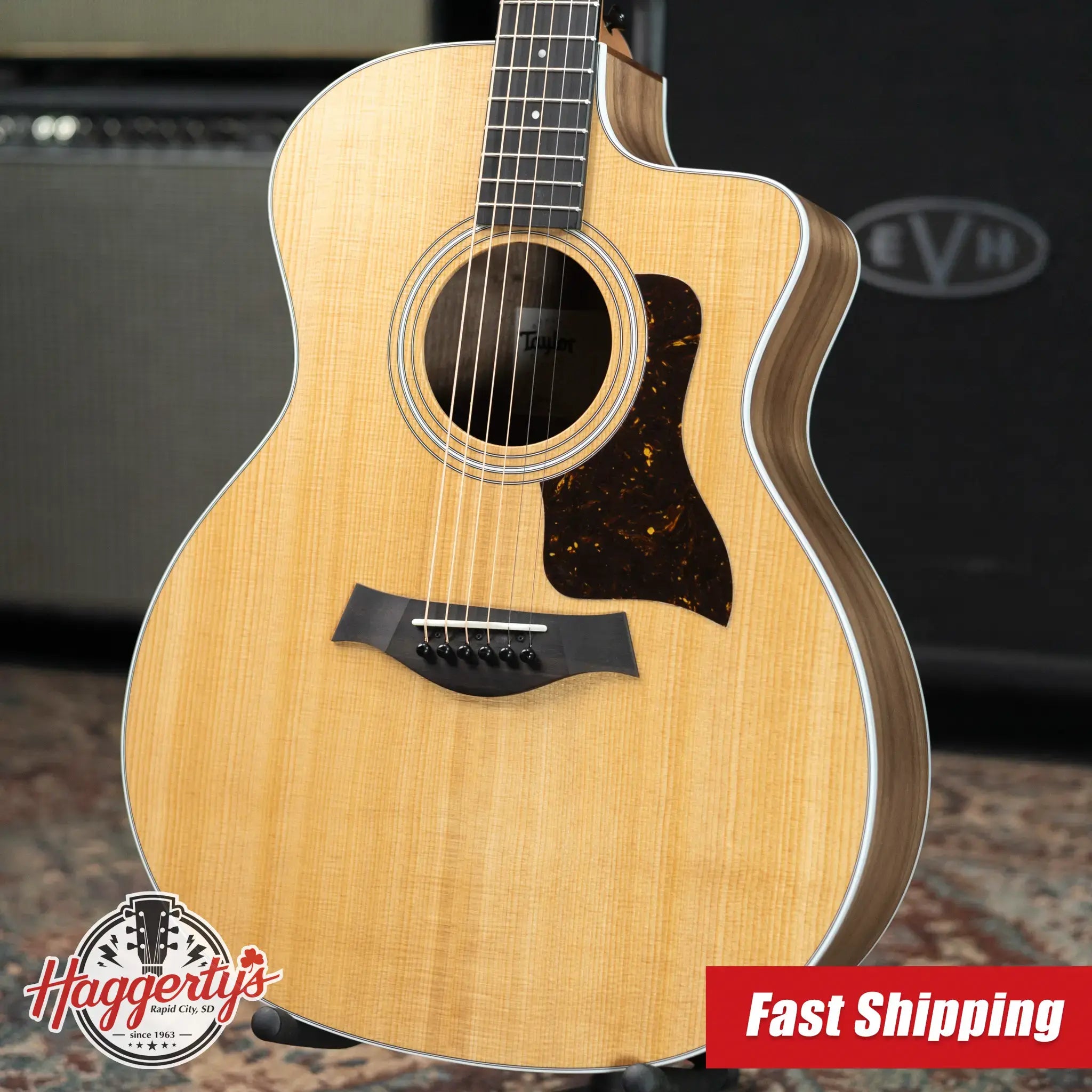 Taylor 214ce Grand Auditorium Acoustic/Electric Guitar with Gig Bag