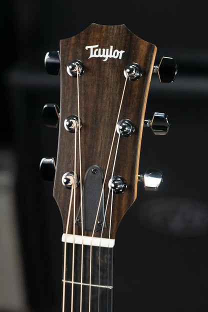 Taylor 214ce Grand Auditorium Acoustic/Electric Guitar with Gig Bag