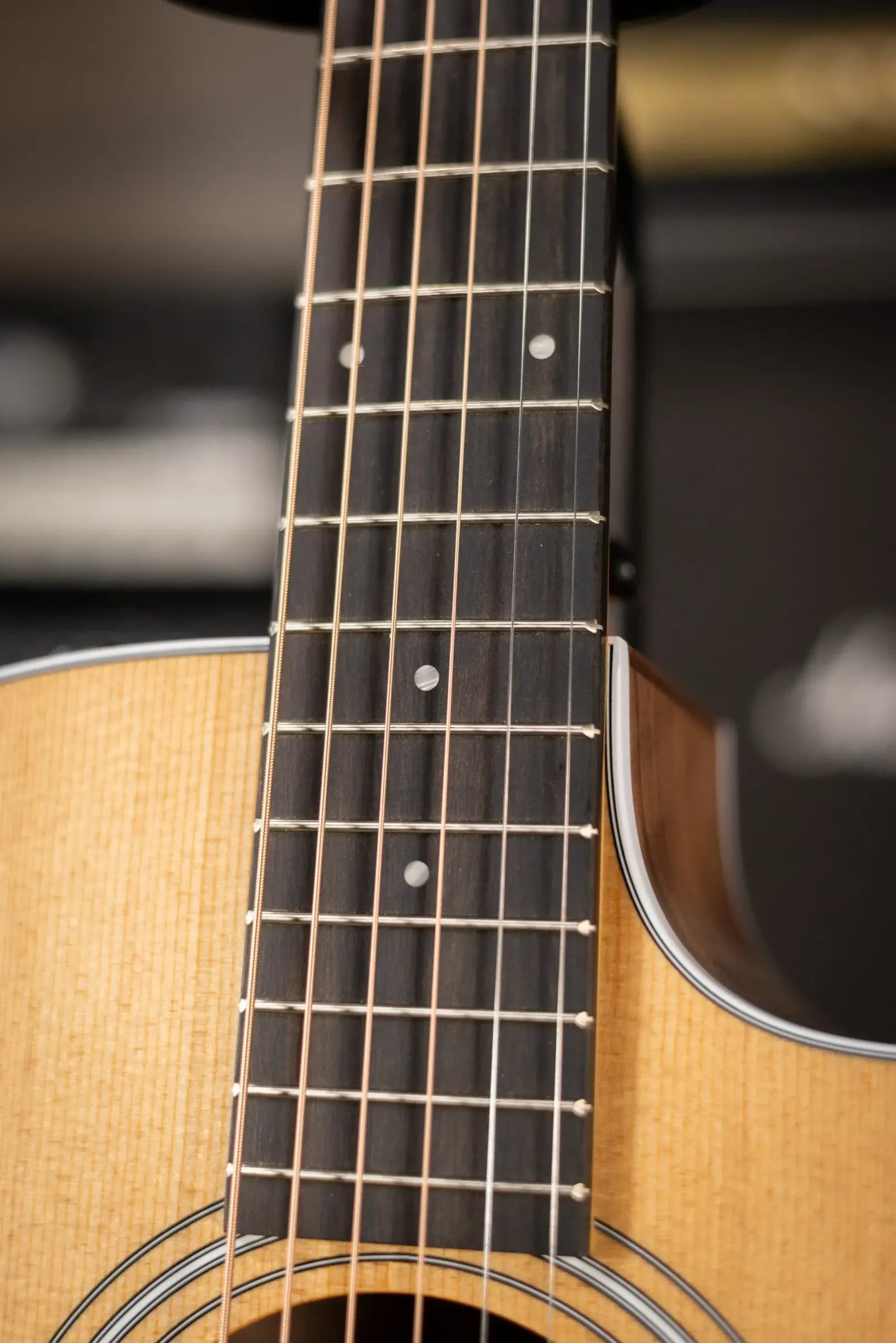 Taylor 214ce Grand Auditorium Acoustic/Electric Guitar with Gig Bag