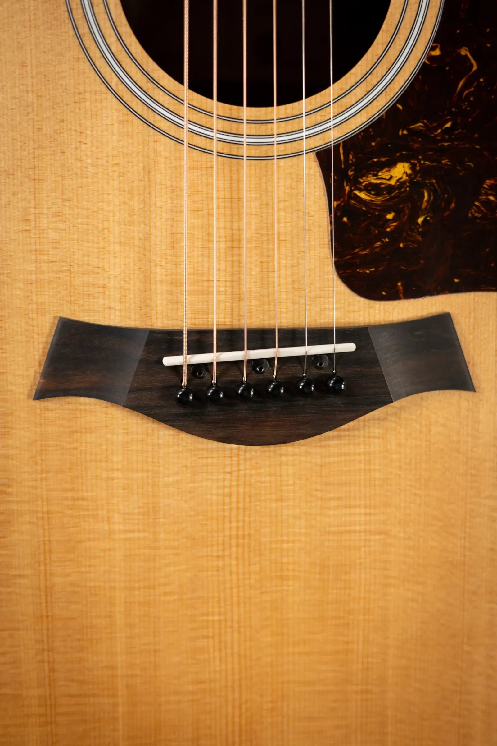 Taylor 214ce Grand Auditorium Acoustic/Electric Guitar with Gig Bag