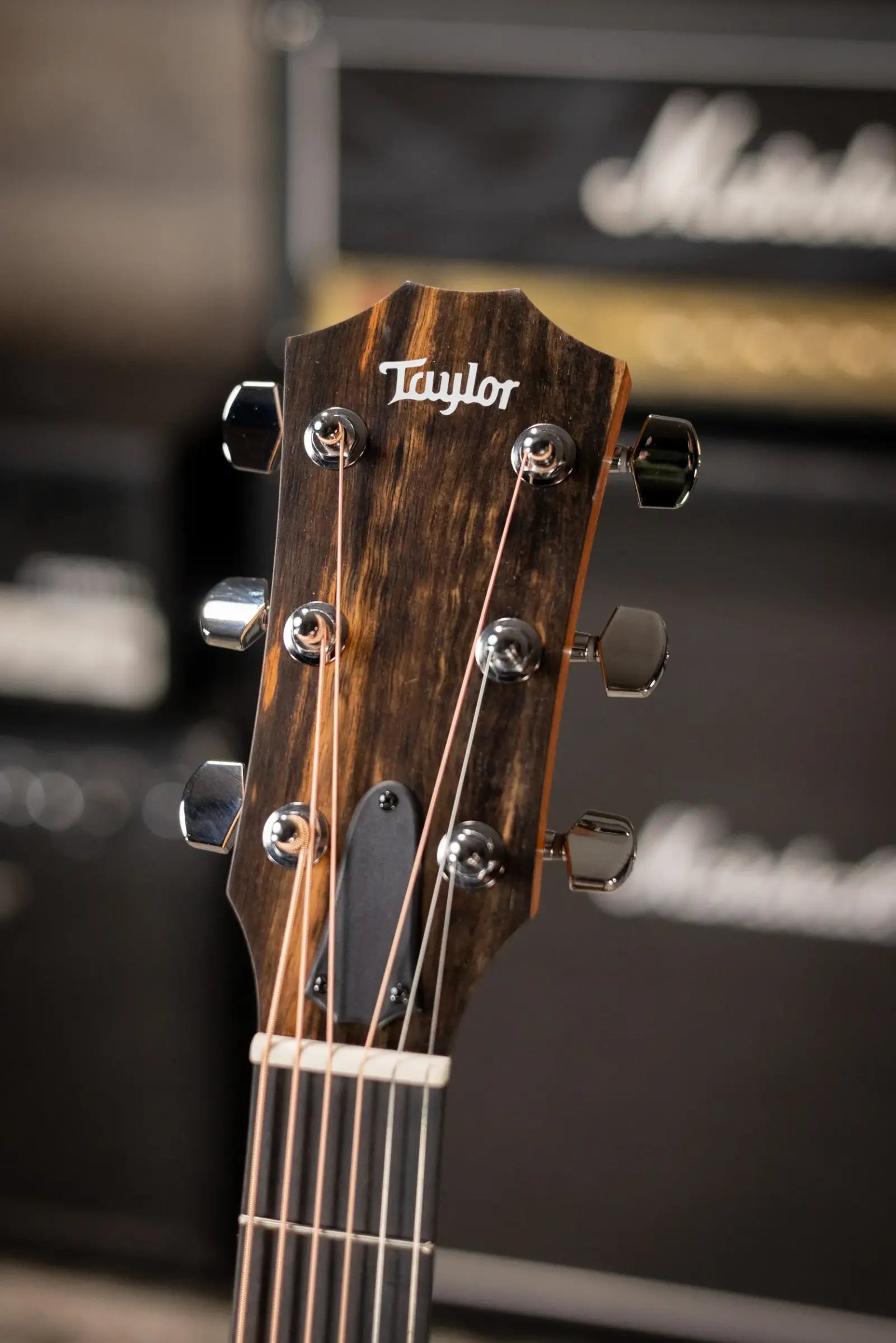 Taylor 214ce Grand Auditorium Acoustic/Electric Guitar with Gig Bag