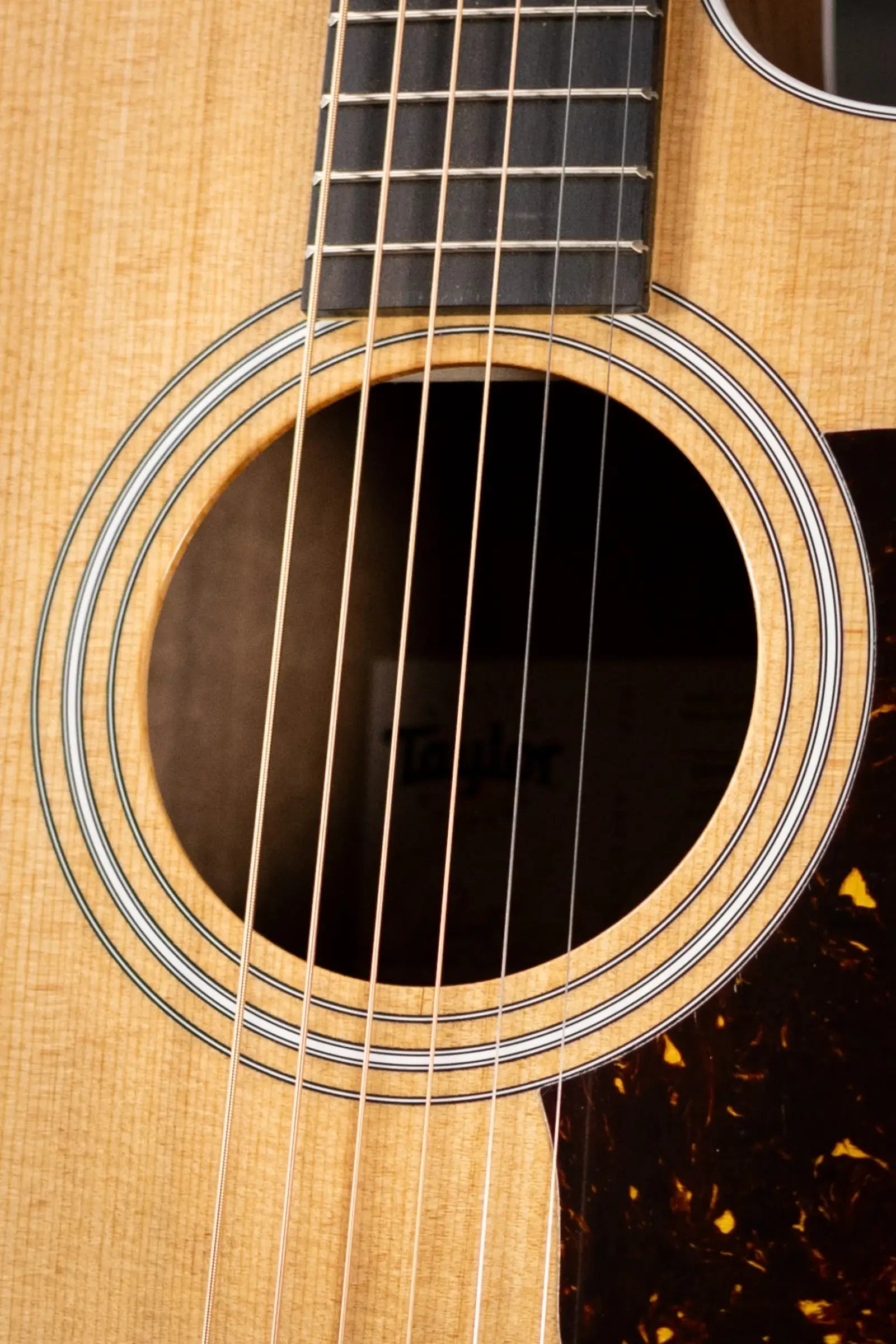 Taylor 214ce Grand Auditorium Acoustic/Electric Guitar with Gig Bag