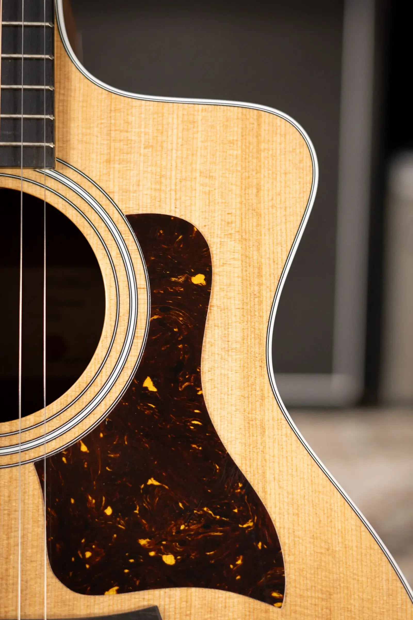 Taylor 214ce Grand Auditorium Acoustic/Electric Guitar with Gig Bag