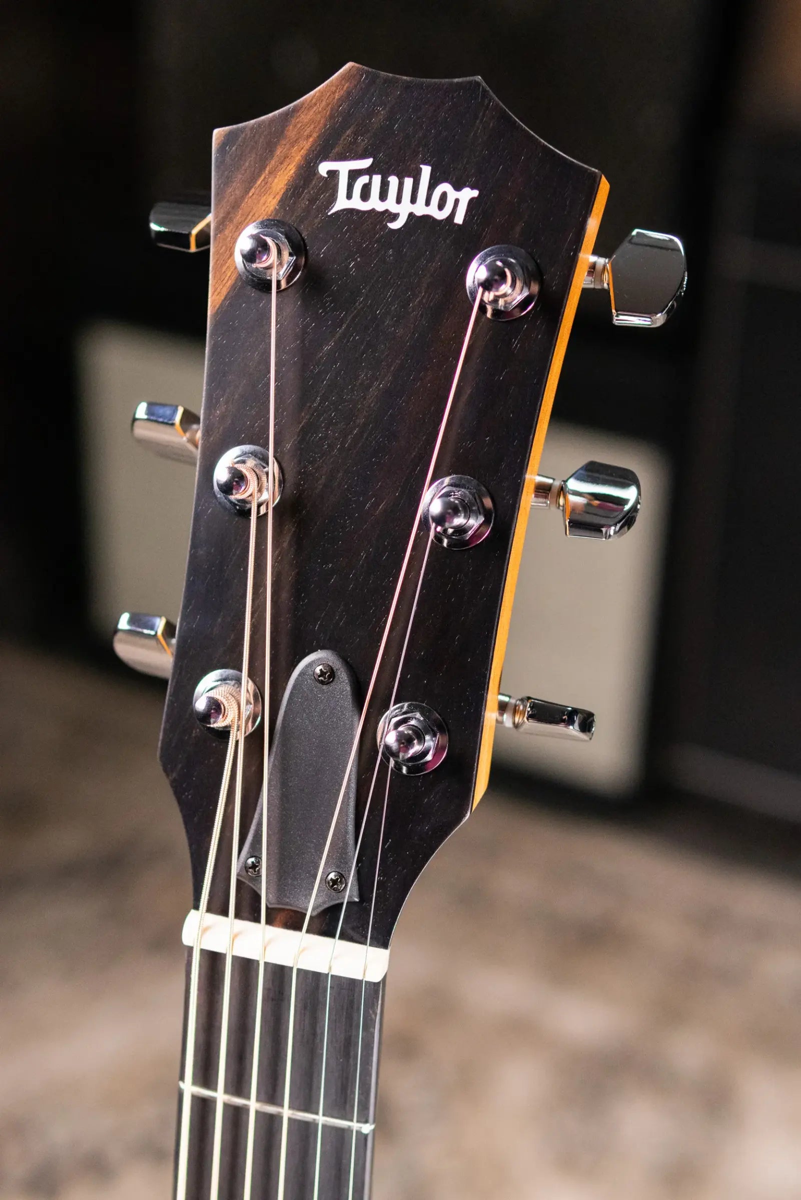 Taylor 214ce Grand Auditorium Acoustic/Electric Guitar with Gig Bag