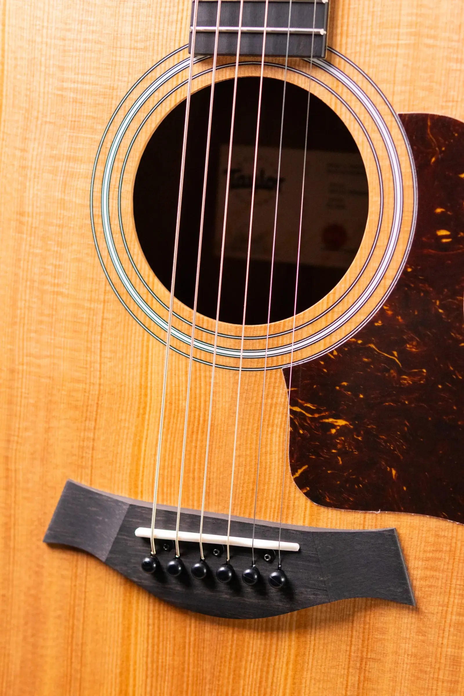 Taylor 214ce Grand Auditorium Acoustic/Electric Guitar with Gig Bag