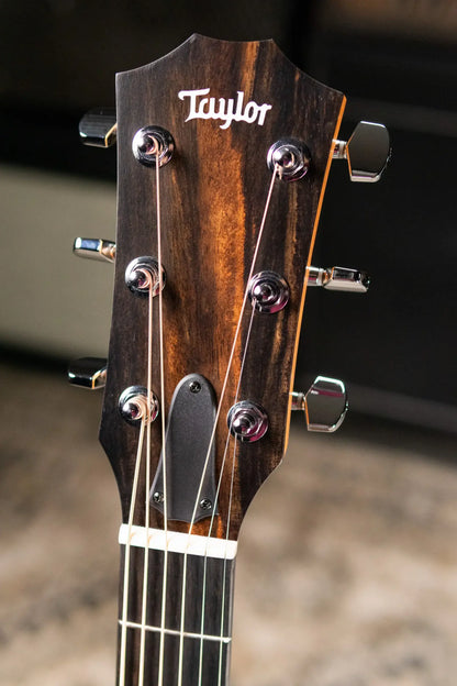 Taylor 214ce Grand Auditorium Acoustic/Electric Guitar with Gig Bag - Factory Demo
