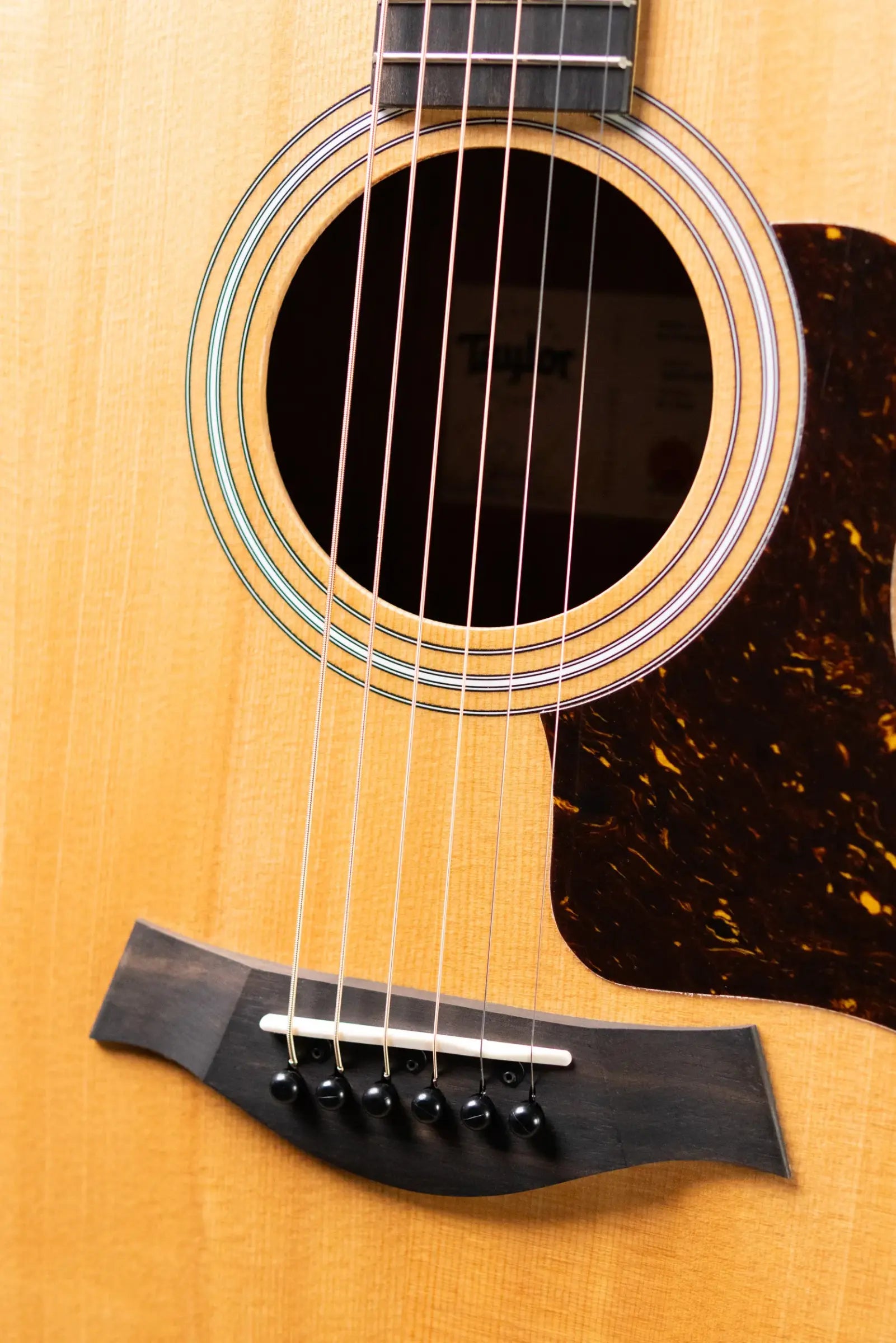 Taylor 214ce Grand Auditorium Acoustic/Electric Guitar with Gig Bag - Factory Demo
