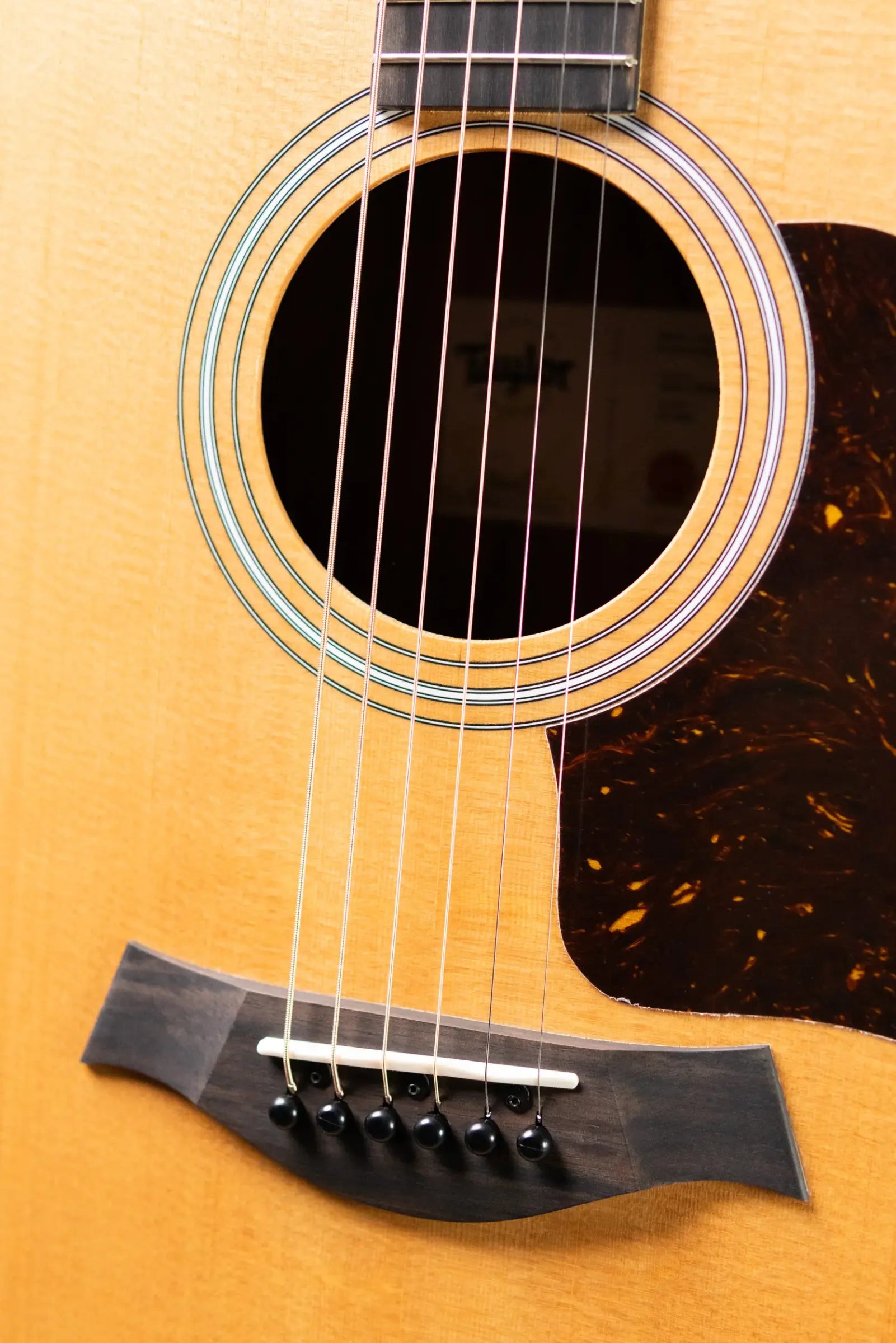 Taylor 214ce Grand Auditorium Acoustic/Electric Guitar with Gig Bag