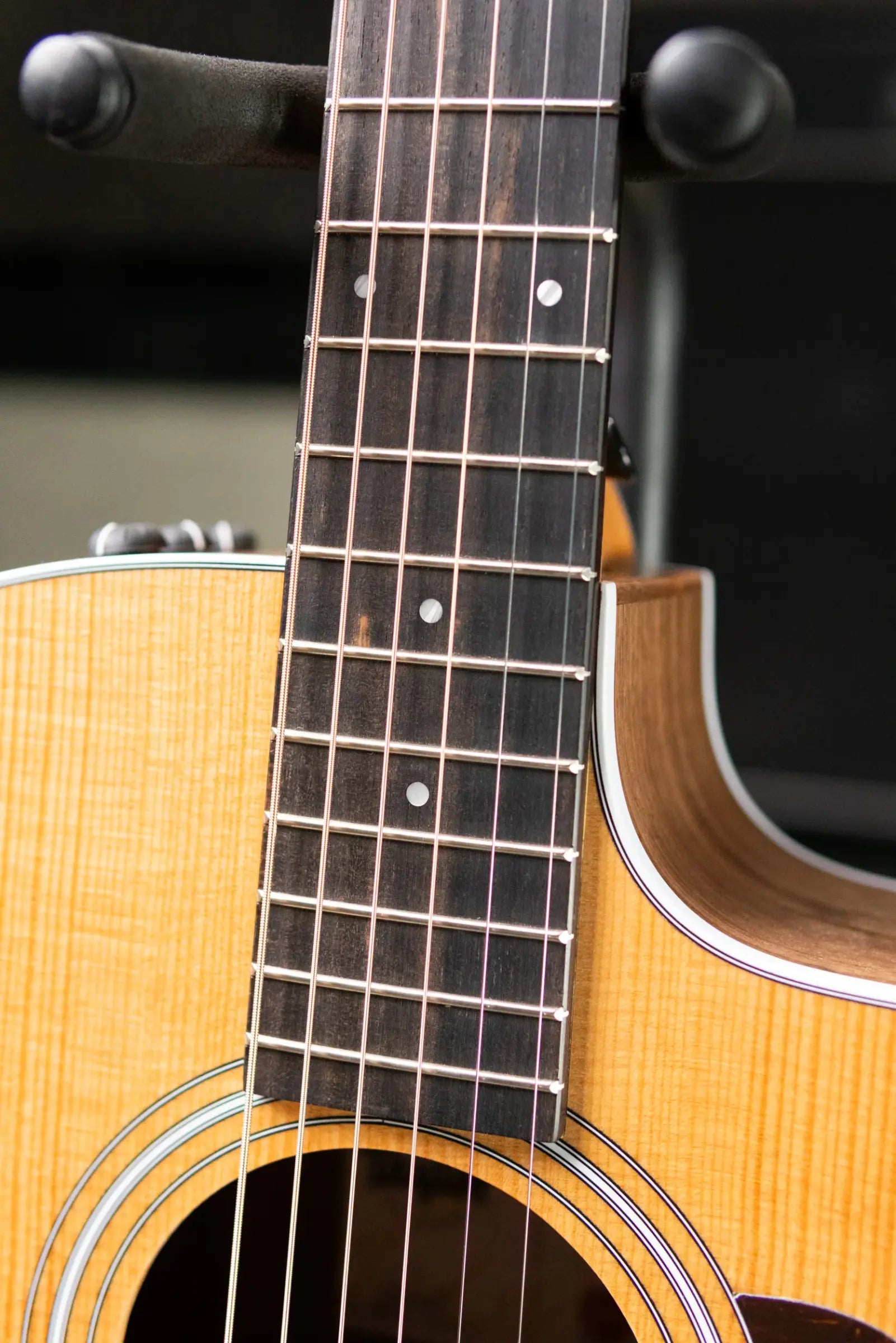 Taylor 214ce Grand Auditorium Acoustic/Electric Guitar with Gig Bag