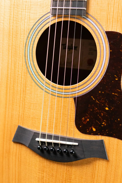 Taylor 214ce Grand Auditorium Acoustic/Electric Guitar with Gig Bag