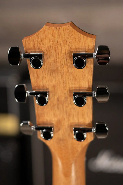 Taylor 214ce Grand Auditorium Acoustic/Electric Guitar with Gig Bag