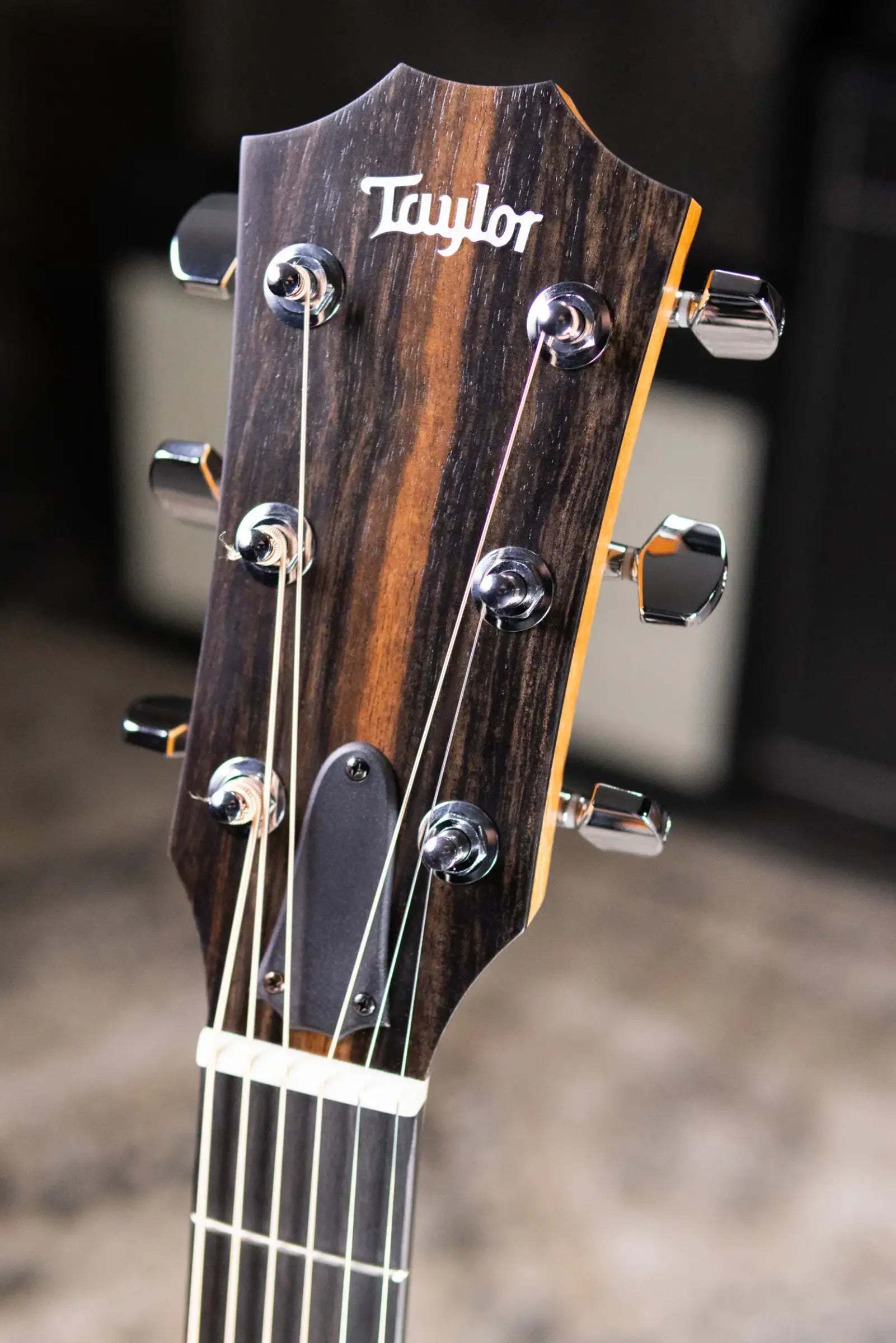 Taylor 214ce Grand Auditorium Acoustic/Electric Guitar with Gig Bag