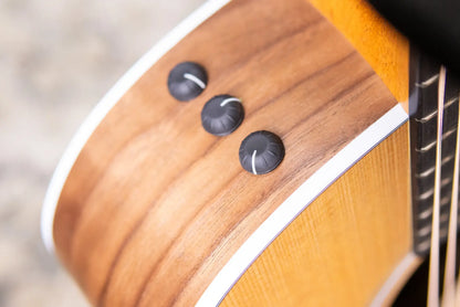 Taylor 214ce Grand Auditorium Acoustic/Electric Guitar with Gig Bag
