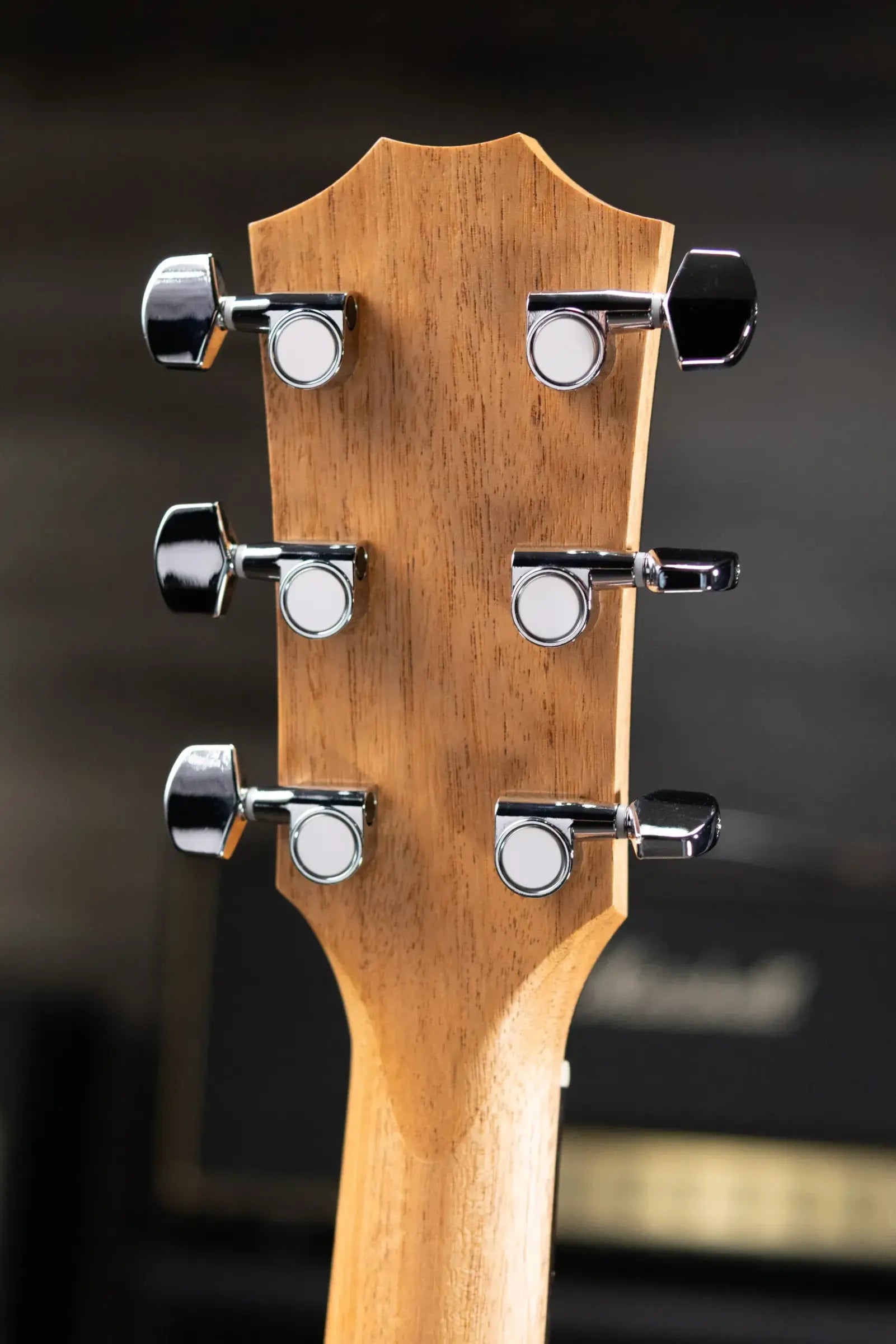 Taylor 214ce Grand Auditorium Acoustic/Electric Guitar with Gig Bag