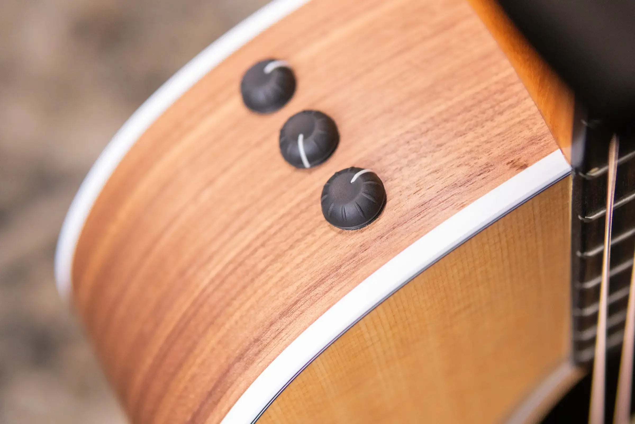 Taylor 214ce Grand Auditorium Acoustic/Electric Guitar with Gig Bag - Floor Model Demo