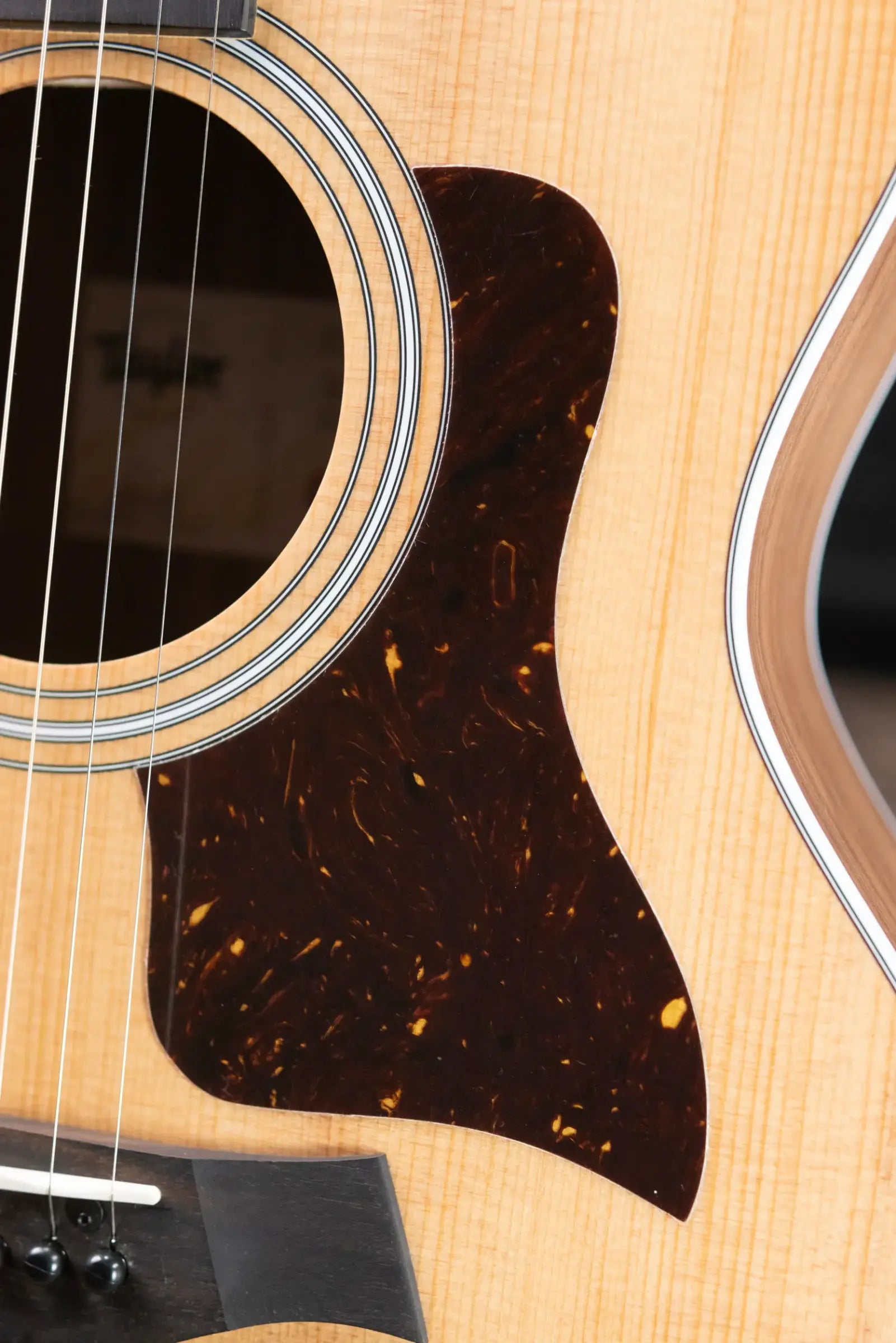 Taylor 214ce Grand Auditorium Acoustic/Electric Guitar with Gig Bag - Used