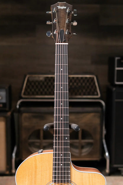 Taylor 214ce Grand Auditorium Acoustic-Electric Guitar with Structured Gig Bag