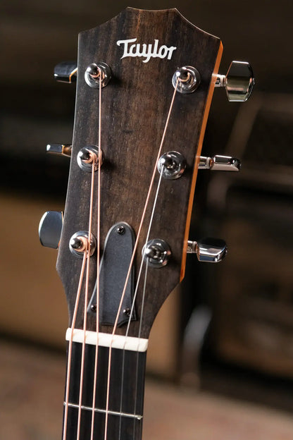 Taylor 214ce Grand Auditorium Acoustic-Electric Guitar with Structured Gig Bag