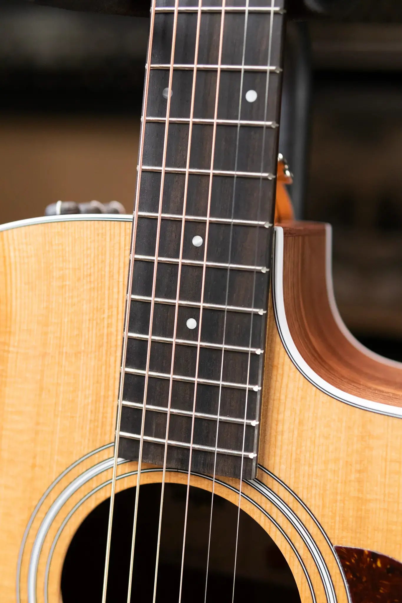 Taylor 214ce Grand Auditorium Acoustic-Electric Guitar with Structured Gig Bag