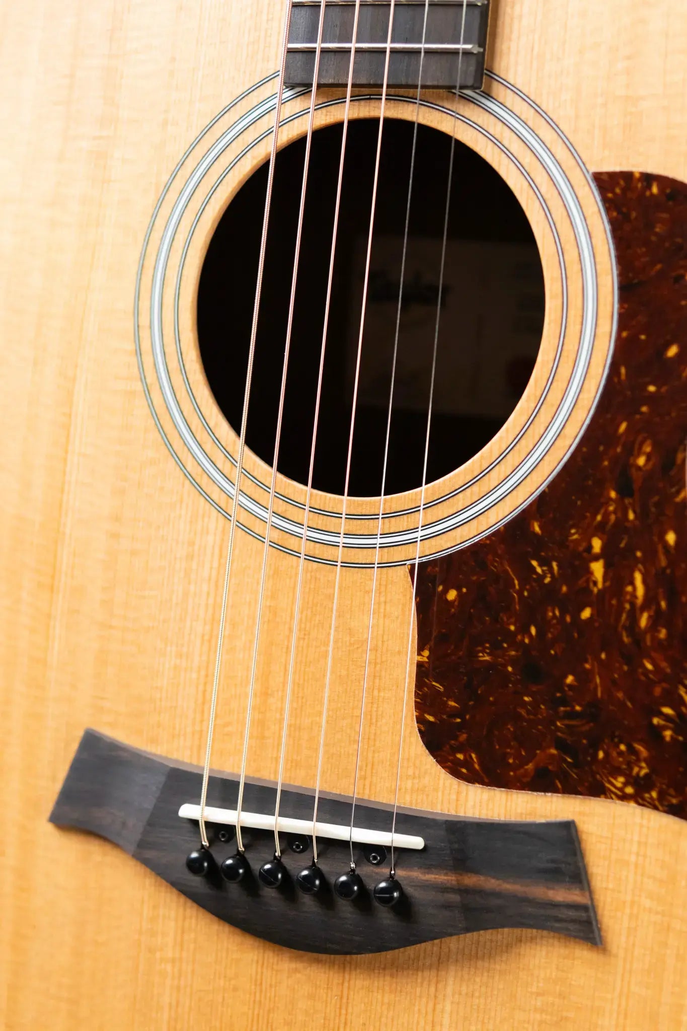 Taylor 214ce Grand Auditorium Acoustic-Electric Guitar with Structured Gig Bag