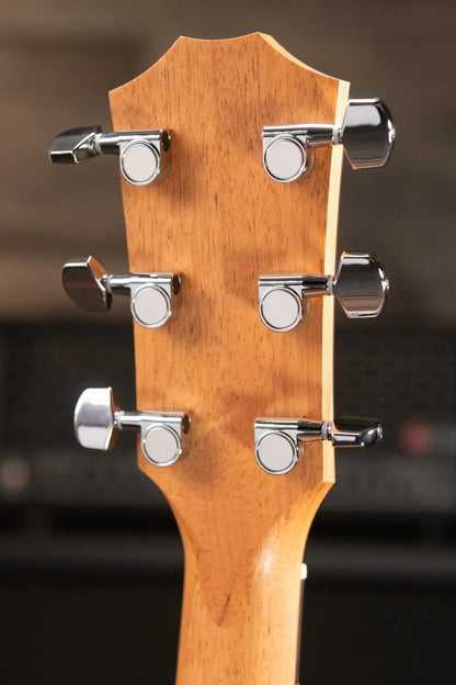 Taylor 214ce Grand Auditorium Acoustic-Electric Guitar with Structured Gig Bag