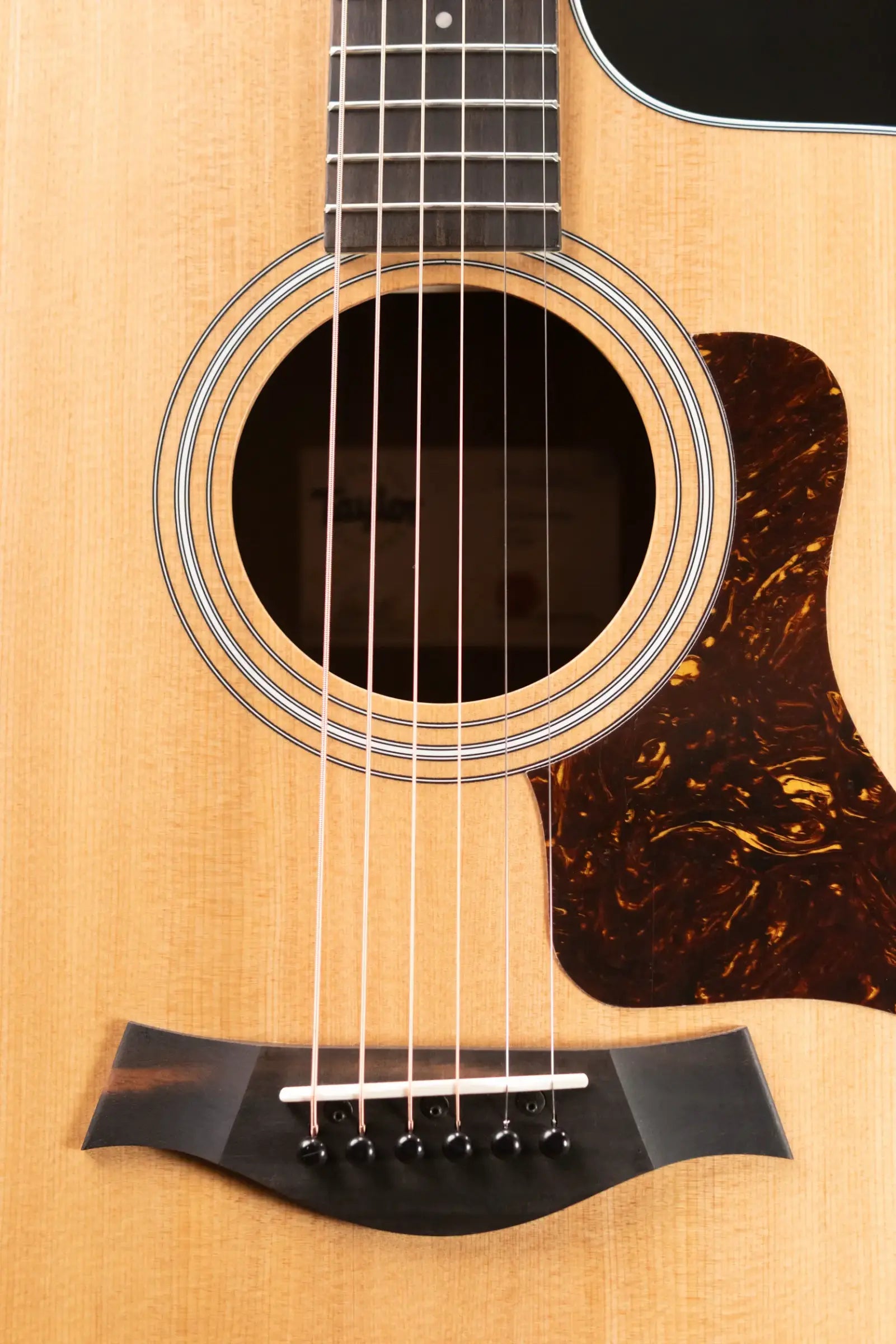 Taylor 214ce Grand Auditorium Acoustic-Electric Guitar with Structured Gig Bag