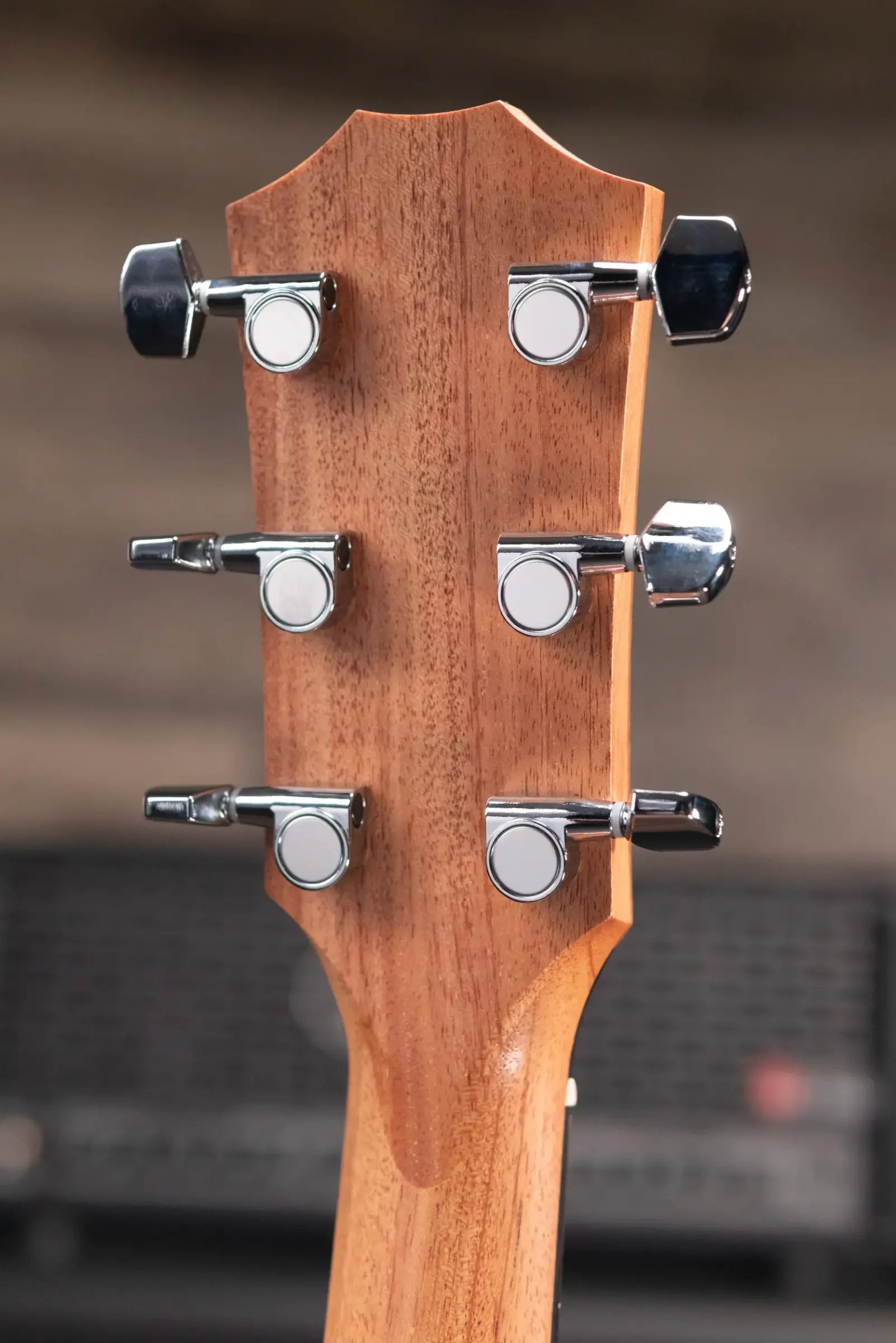 Taylor 214ce Grand Auditorium Acoustic/Electric Guitar with Structured Gig Bag