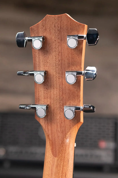 Taylor 214ce Grand Auditorium Acoustic/Electric Guitar with Structured Gig Bag