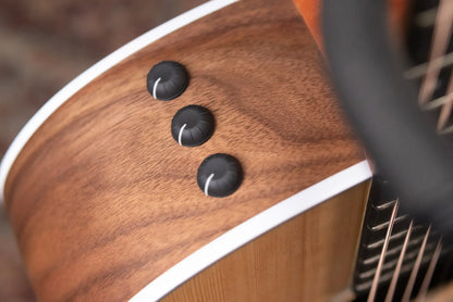 Taylor 214ce Grand Auditorium Acoustic/Electric Guitar with Structured Gig Bag