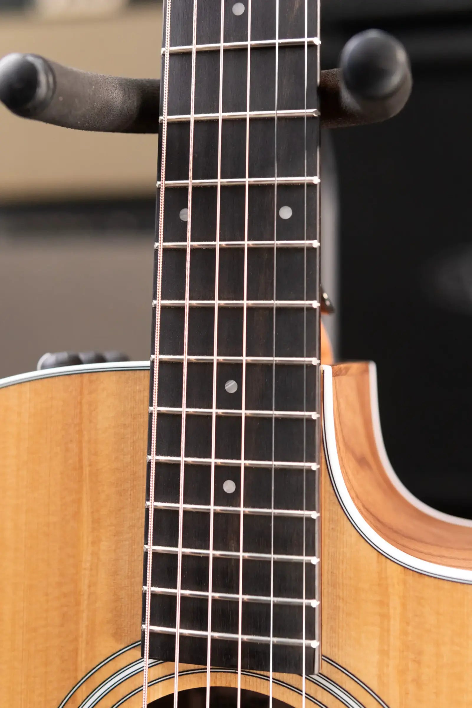 Taylor 214ce Grand Auditorium Acoustic/Electric Guitar with Structured Gig Bag