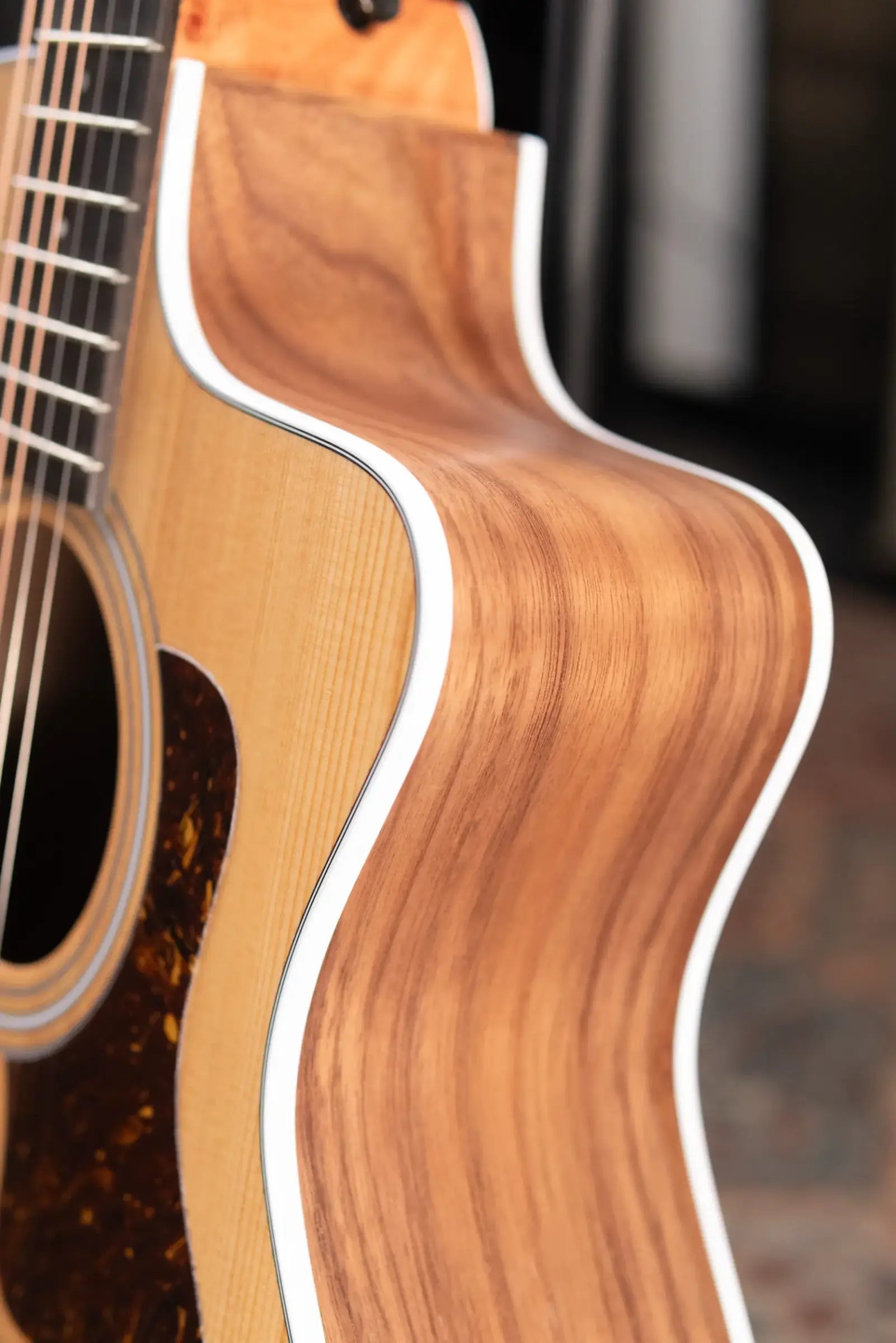 Taylor 214ce Grand Auditorium Acoustic/Electric Guitar with Structured Gig Bag